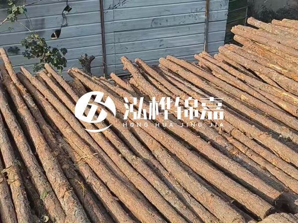 松木樁打樁后清淤怎么處理？有沒有全包的公司？