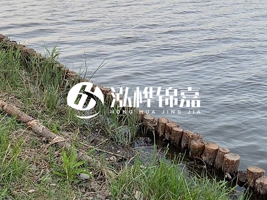 防洪松木樁施工重要性？河道打木樁的位置怎么確定？