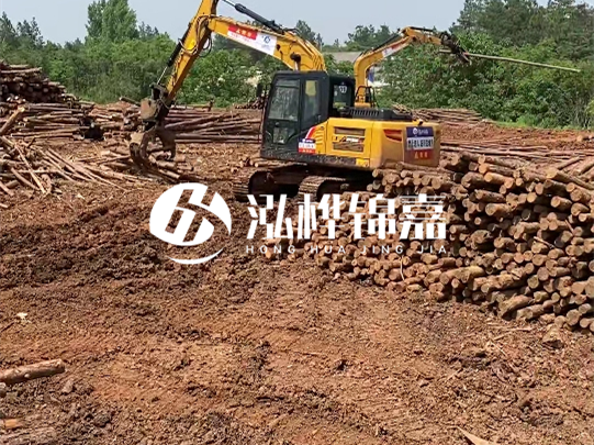 河道松木樁廠家聯(lián)系方式-6米10-15公分價格是多少？