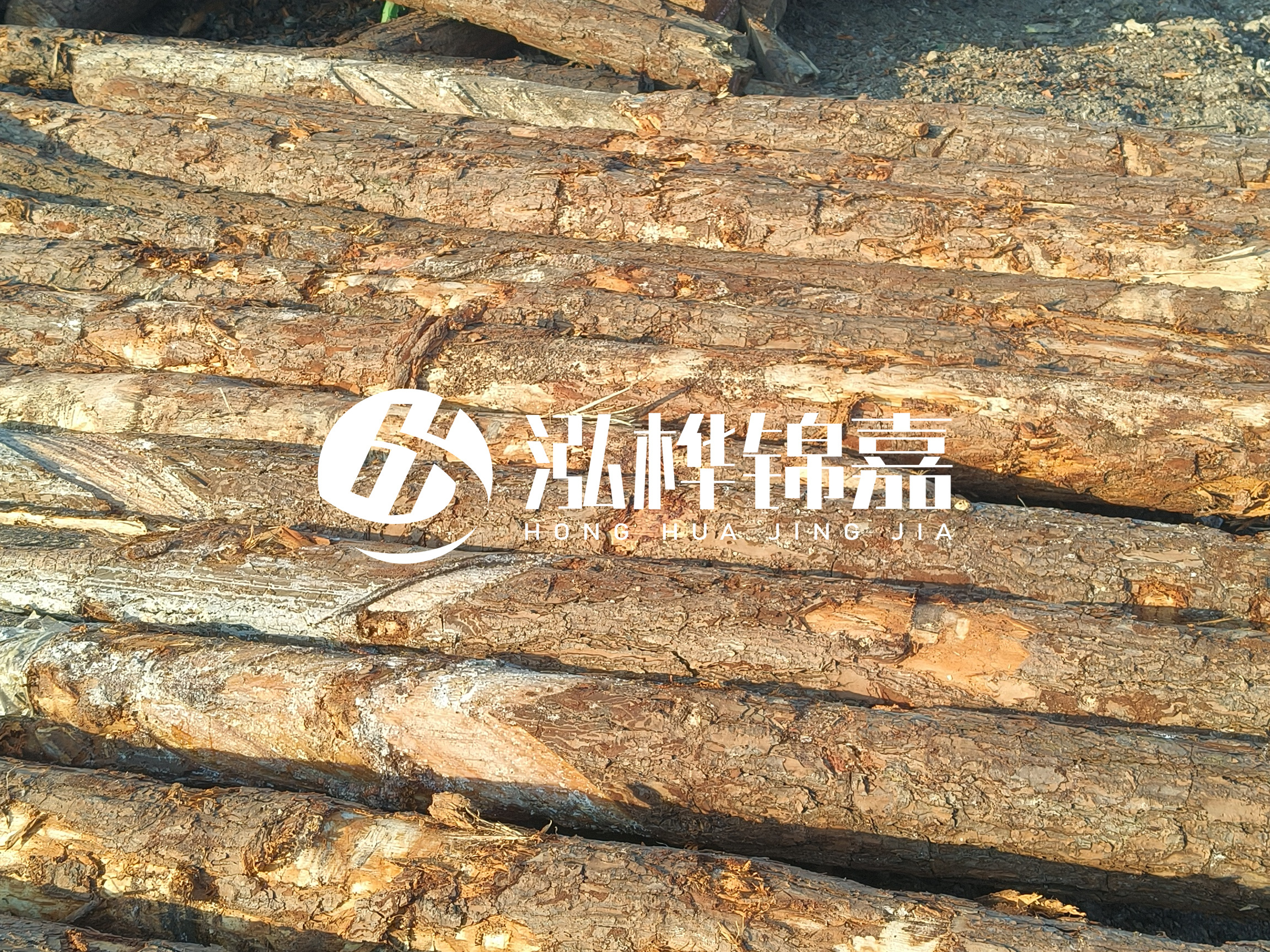 河道木樁的含水率過高會有什么問題？怎么檢查松木樁含水率？