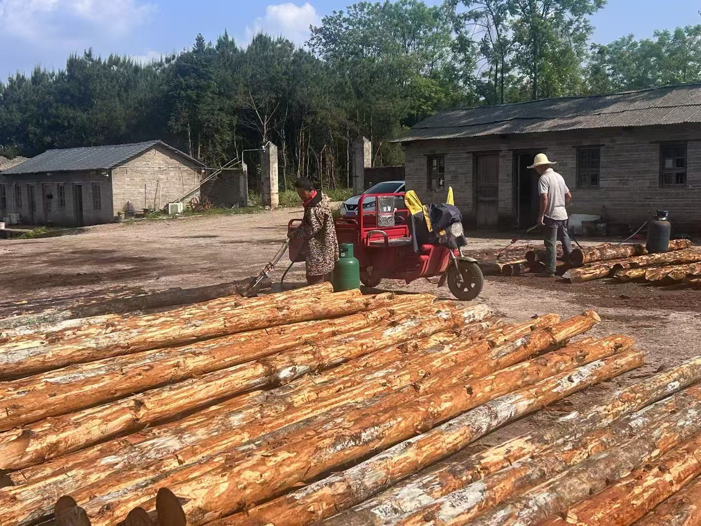 松木樁批發(fā)廠家泓樺錦嘉-圍堰松木樁為什么要交錯排列？