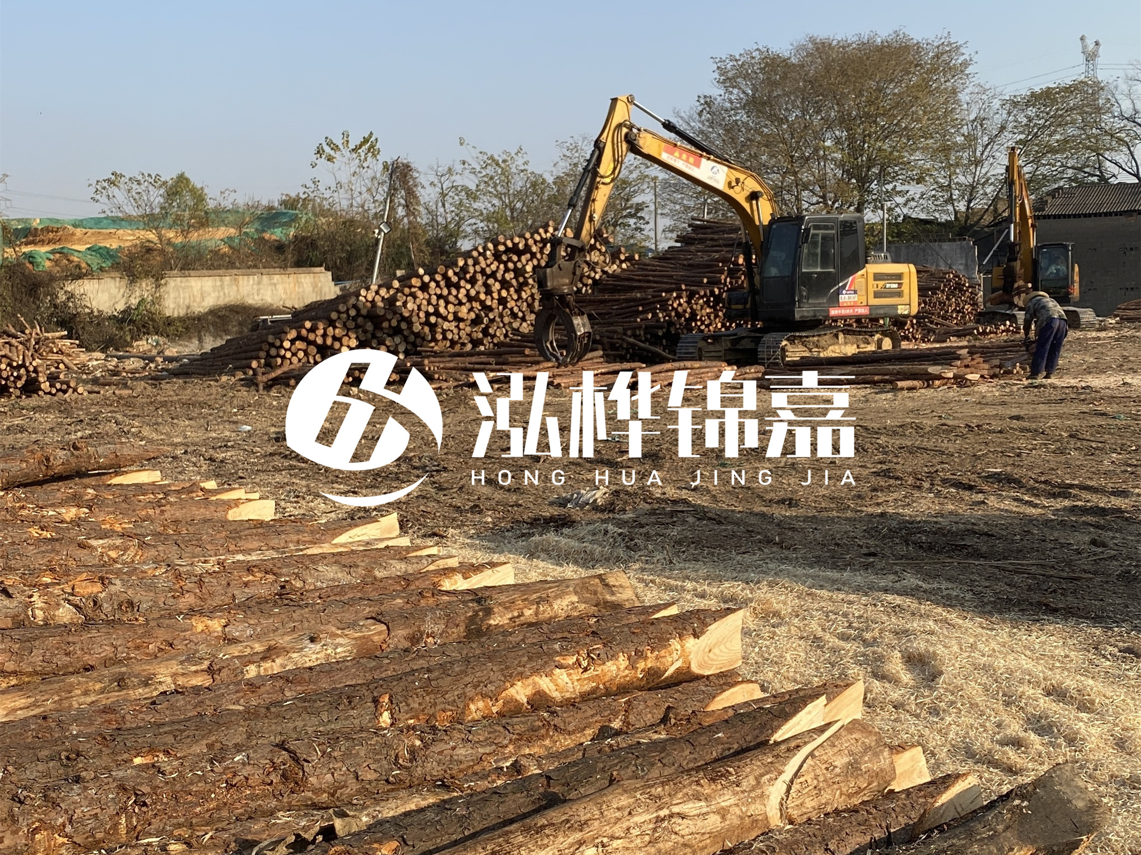 松木樁批發(fā)廠家泓樺錦嘉-松木樁廠家能開發(fā)票嗎？