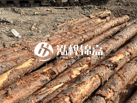 松木樁廠家泓樺錦嘉-原木松木樁的材質(zhì)是落葉松還是濕地松好？