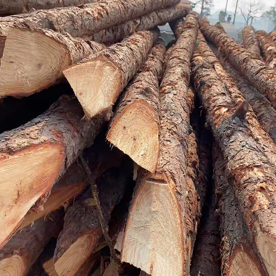 松木樁施工隊(duì)泓樺錦嘉 - 原木松木樁怎么辨別是否為實(shí)心？