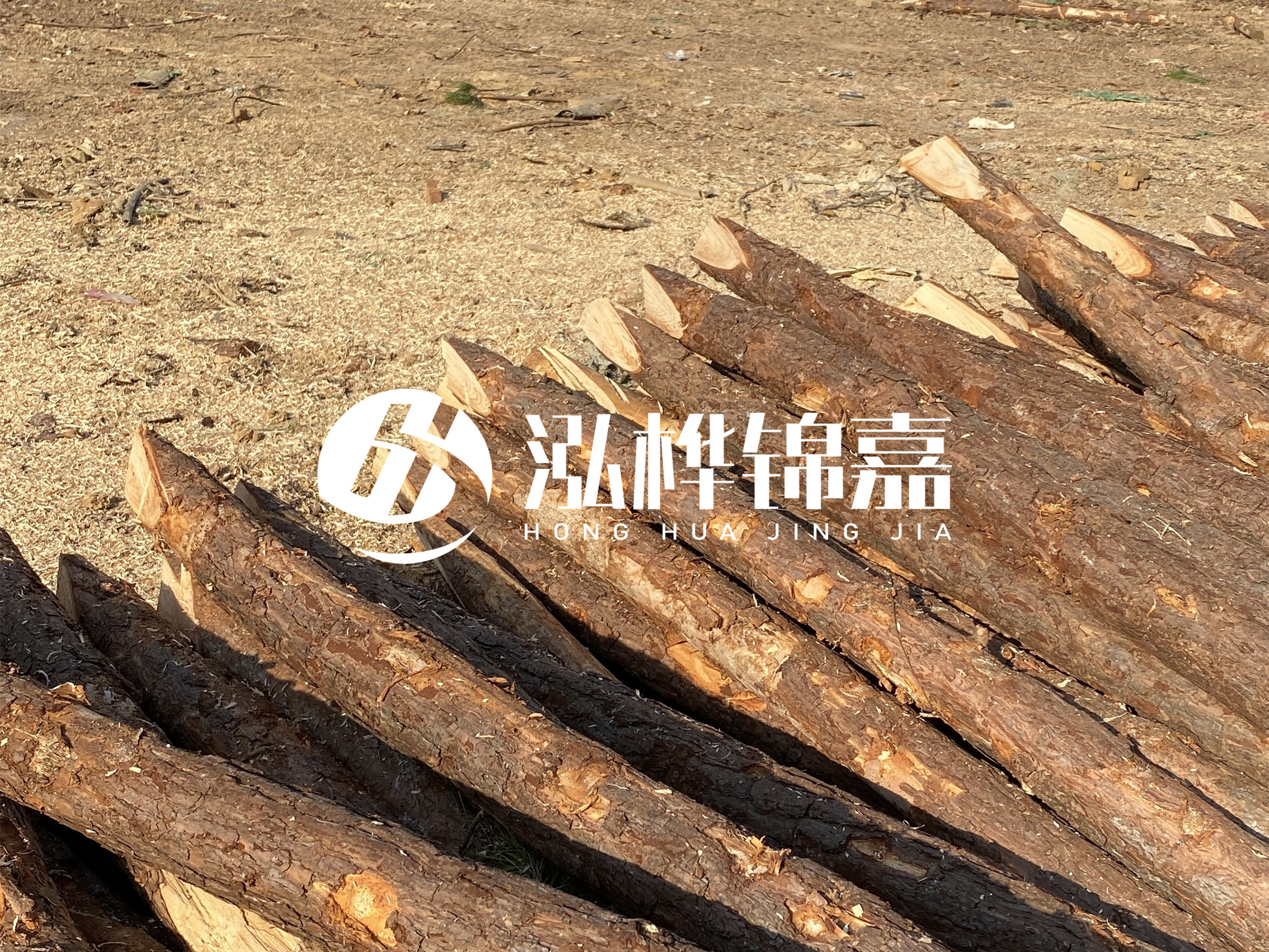 松木樁施工隊(duì)泓樺錦嘉 - 落葉松的直徑能達(dá)到20cm嗎？